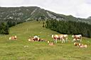 Img_4329.jpg