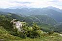 Img_4335.jpg